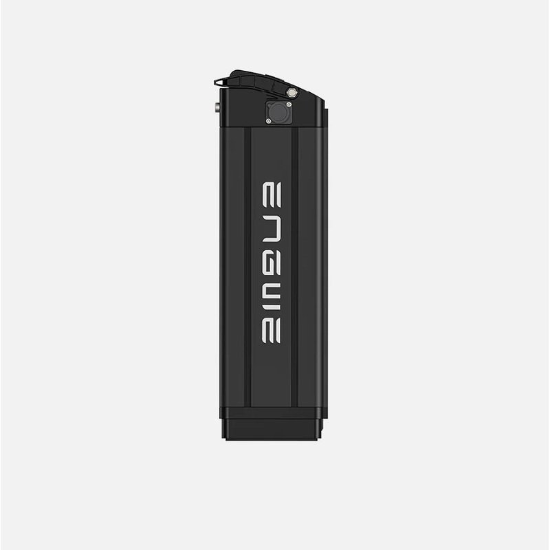 Batterie Vélo Électrique Engwe L20 – Image 2