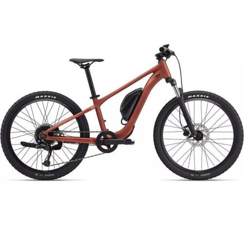 VTT électriques Giant Talon E+ 24 2025