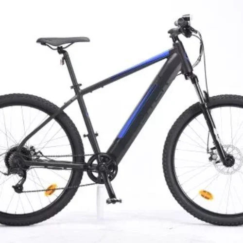 Vélo électrique TVT Faster 12,8 Ah à assistance