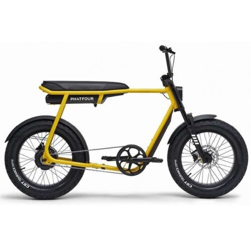 Vélo électrique Phatfour FLX