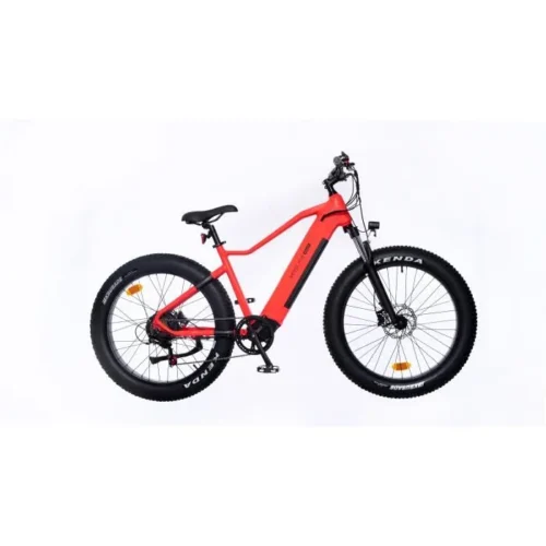 Vélo électrique YEEP.ME HOLIDAY Fat Bike 26″