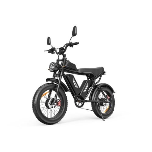 Vélo électrique YVY C20Pro 2000W à gros pneus à double moteur